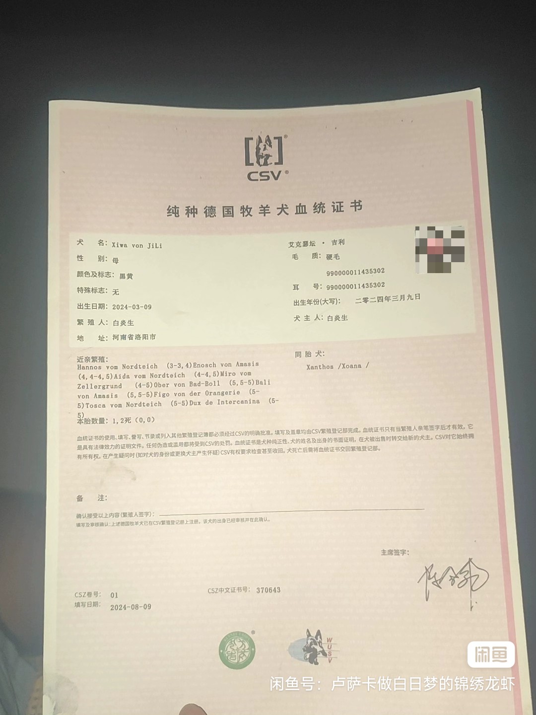 6公1母